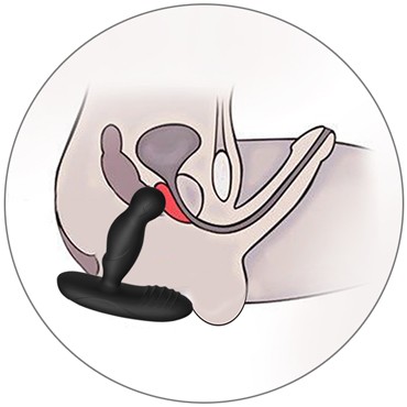 Levett Ancus, черный