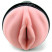 FleshLight Vibro Pink Lady
