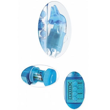 Pipedream Beginners Dolphin