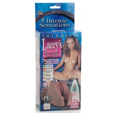 California Exotic Laceys Pussy & Ass