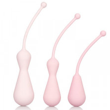 California Exotic Inspire Kegel Training Kit