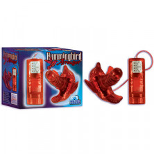 California Exotic Hummingbird Arouser