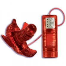 California Exotic Hummingbird Arouser