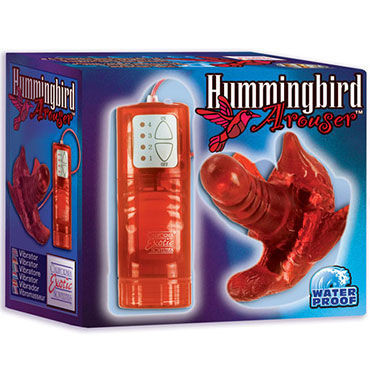 California Exotic Hummingbird Arouser