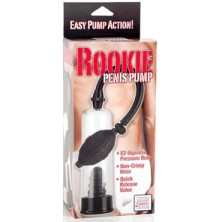 California Exotic Rookie