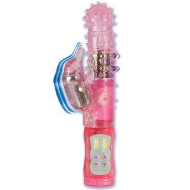 California Exotic Eloquent Lover