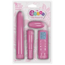 NS Novelties Pink Pleasure Kit
