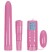 NS Novelties Pink Pleasure Kit