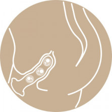 Fun Factory Bouncer, красный