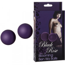 Doc Johnson Black Rose Ben Wa Balls, фиолетовые
