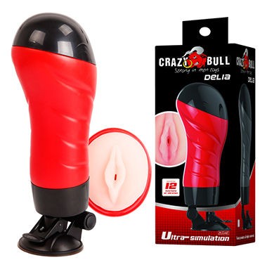 Baile Crazy Bull Delia