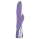 Baile Vibrator