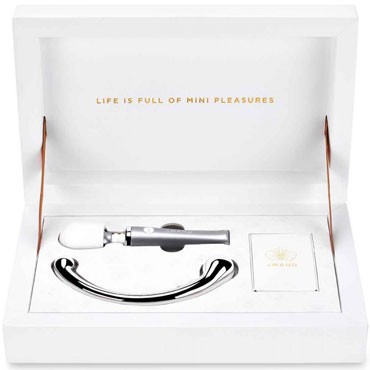 le WAND Mini Pleasures, серебристый