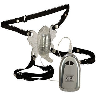 California Exotic Venus Butterfly, прозрачный