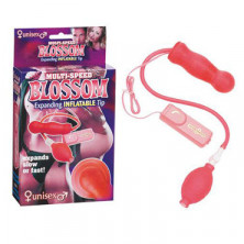 Seven Creations Blossom