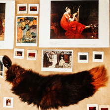 Wild Lust анальная пробка, 40 мм