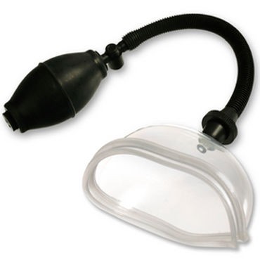 Pipedream High Intensity Pump