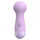 Toy Joy Cara Small Wand Massager, фиолетовый