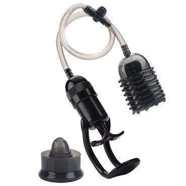 California Exotic Adonis Head Exciter