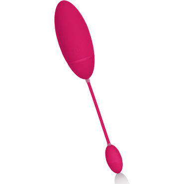 California Exotic Silhouette S4 Red