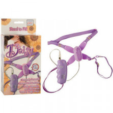 California Exotic Daisy