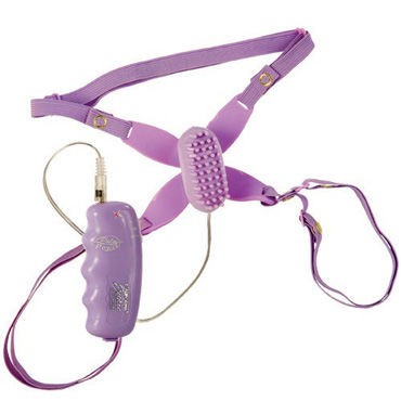 California Exotic Daisy