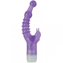 California Exotic Dancing Dolphin