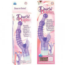 California Exotic Dancing Dolphin