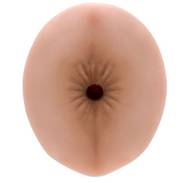 Topco Exotic And Erotic