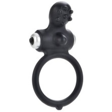 California Exotic Inspiration