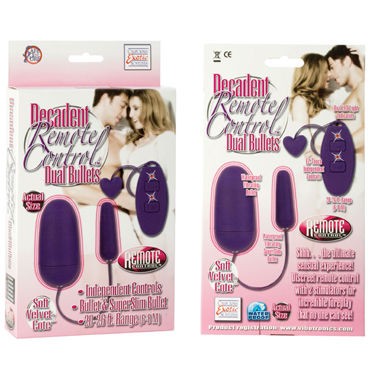 California Exotic Decadent