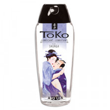 Shunga Carnal Pleasures