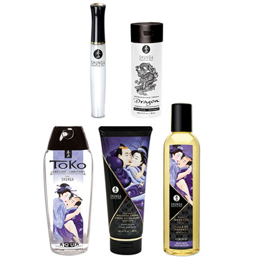 Shunga Carnal Pleasures