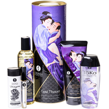 Shunga Carnal Pleasures