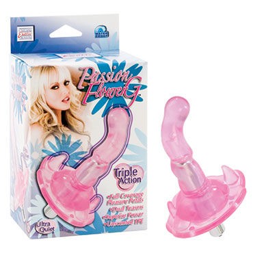 California Exotic Passion Flower