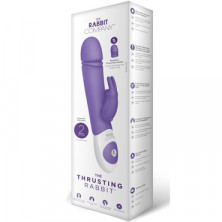 Rabbit Company Thrusting Rabbit, фиолетовый