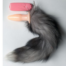 Luxurious Tail Silver Fox