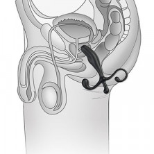 BlueLine Prostate Gear, черный