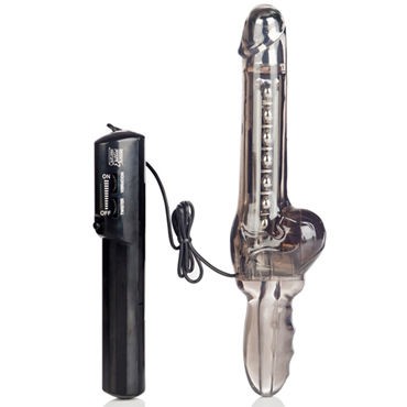 California Exotic Colt Big Vibe