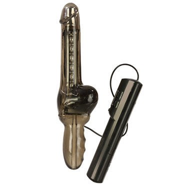 California Exotic Colt Big Vibe