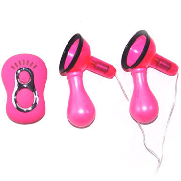 Baile вакуумная помпа