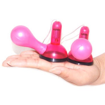 Baile вакуумная помпа