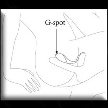 Nalone Co Co, синий