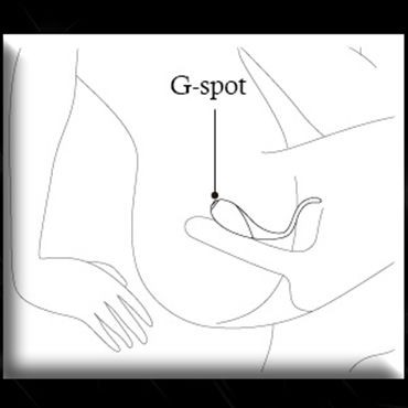 Nalone Co Co, синий