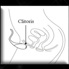 Nalone Co Co, синий