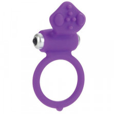 California Exotic Affection