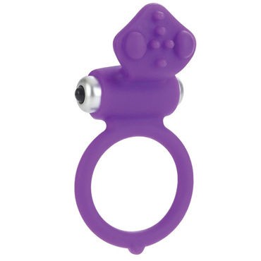 California Exotic Affection