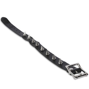 Пикантные штучки Узкий ошейник