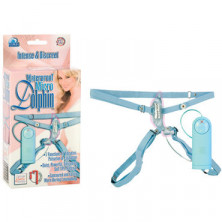 California Exotic Dolphin