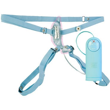 California Exotic Dolphin